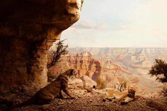 5933 (American Museum of Natural History - NY - USA - 2022)