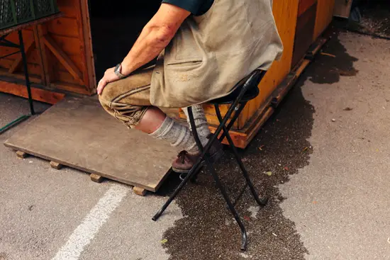 Le bavarois sur sa chaise haute / Allemagne (2023)