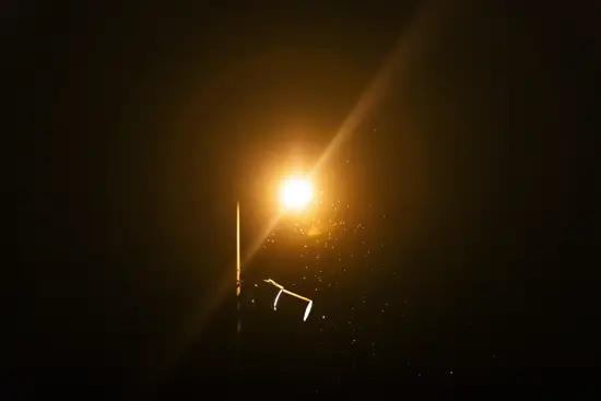 Des insectes dans la lumière / France (2025)