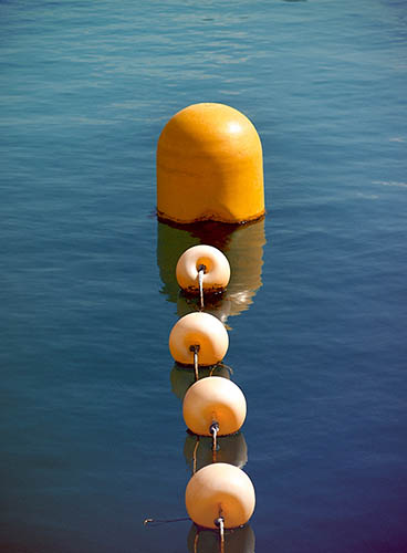 Kinder surprise (2011)