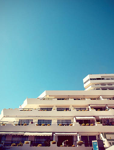 Cactus au balcon (2011)