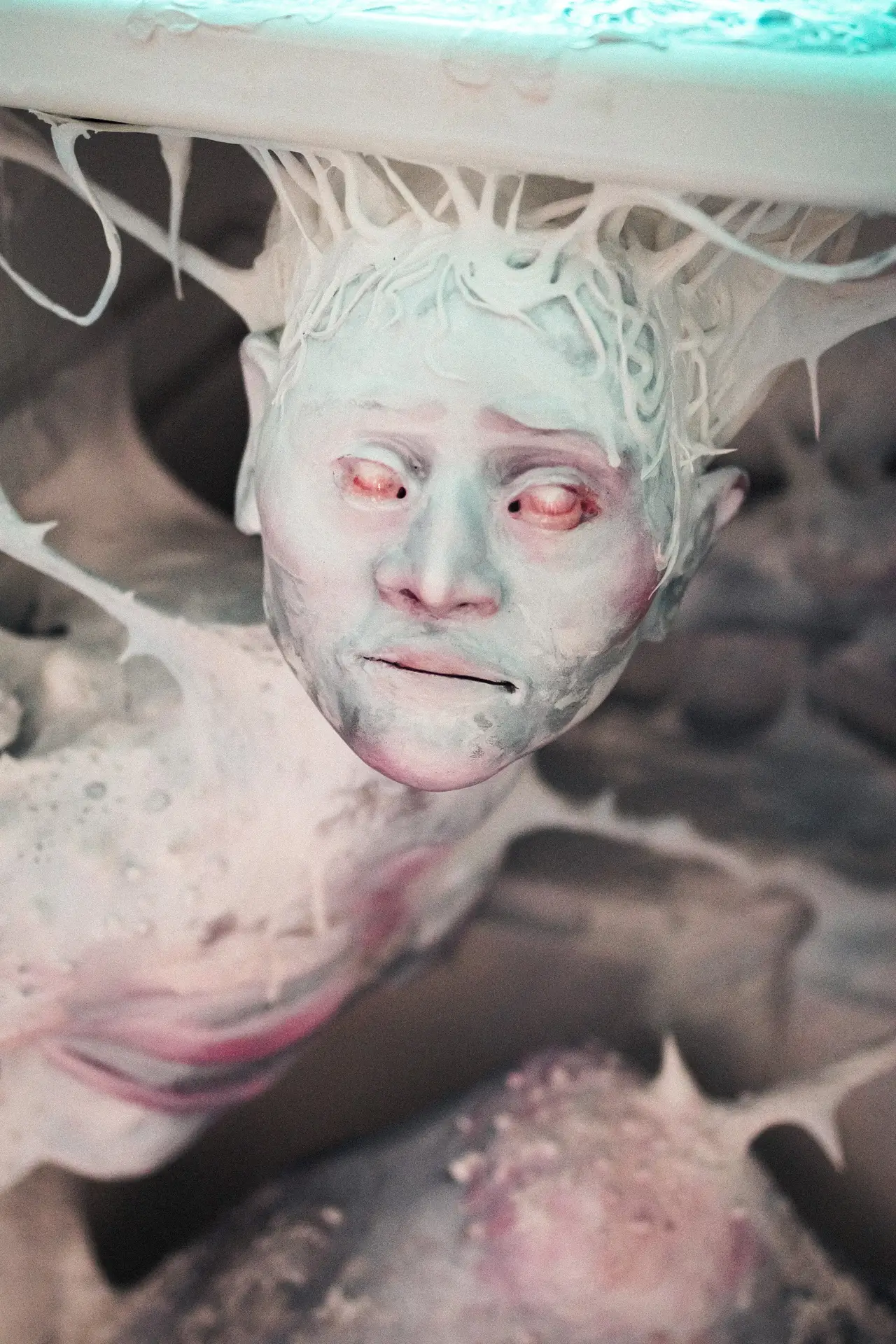 Lili-Rose EATON / Les habitées