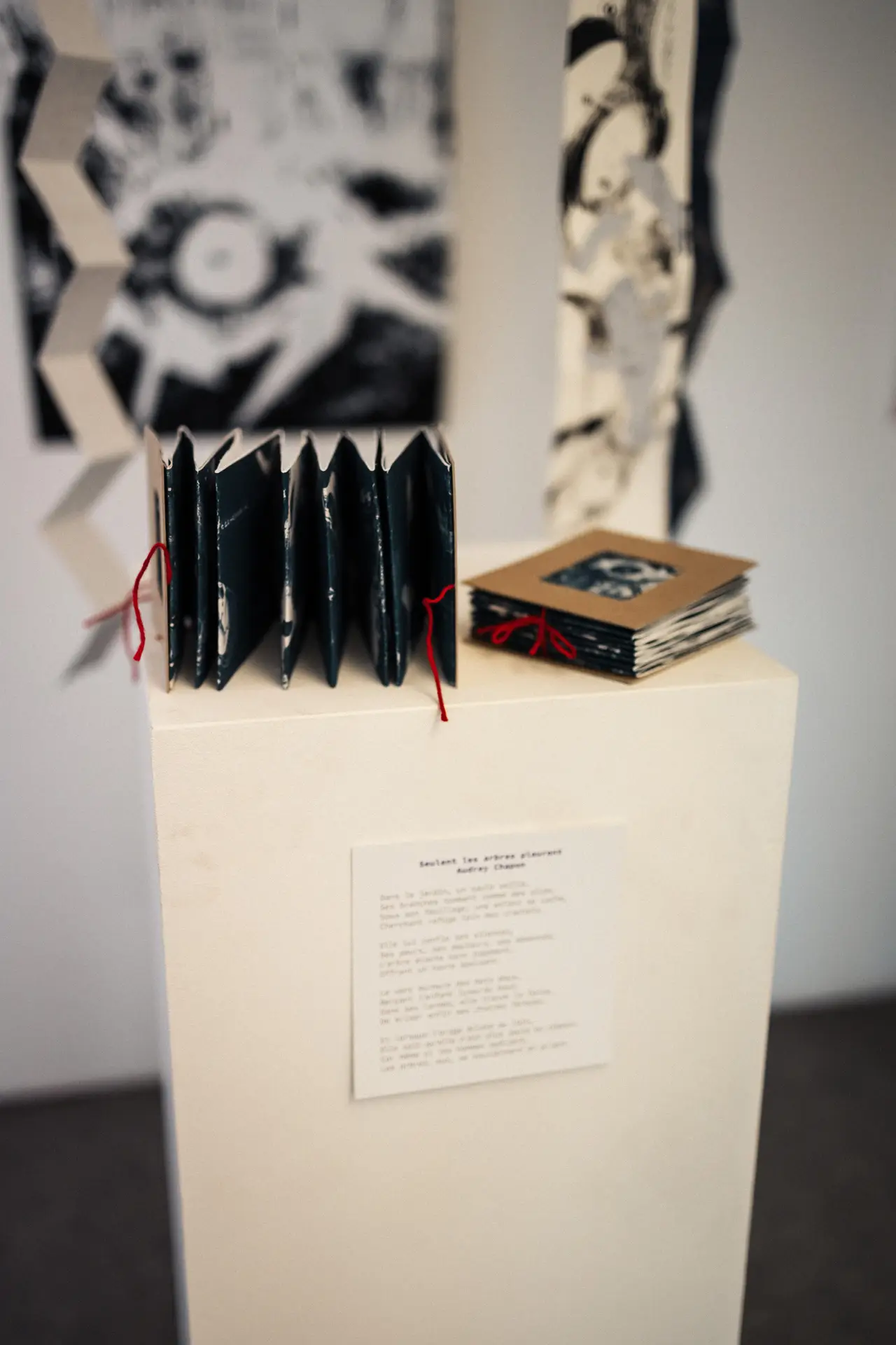 Océane FIX / À fleur de peau