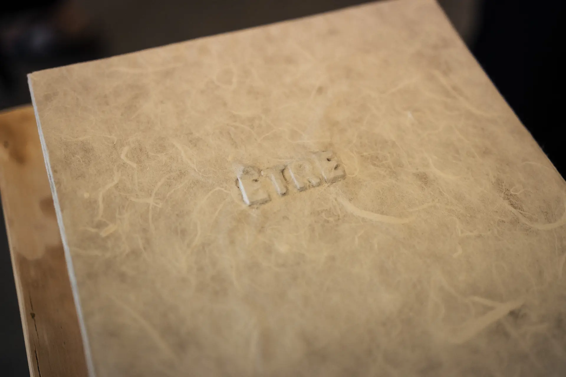 Océane FIX / À fleur de peau