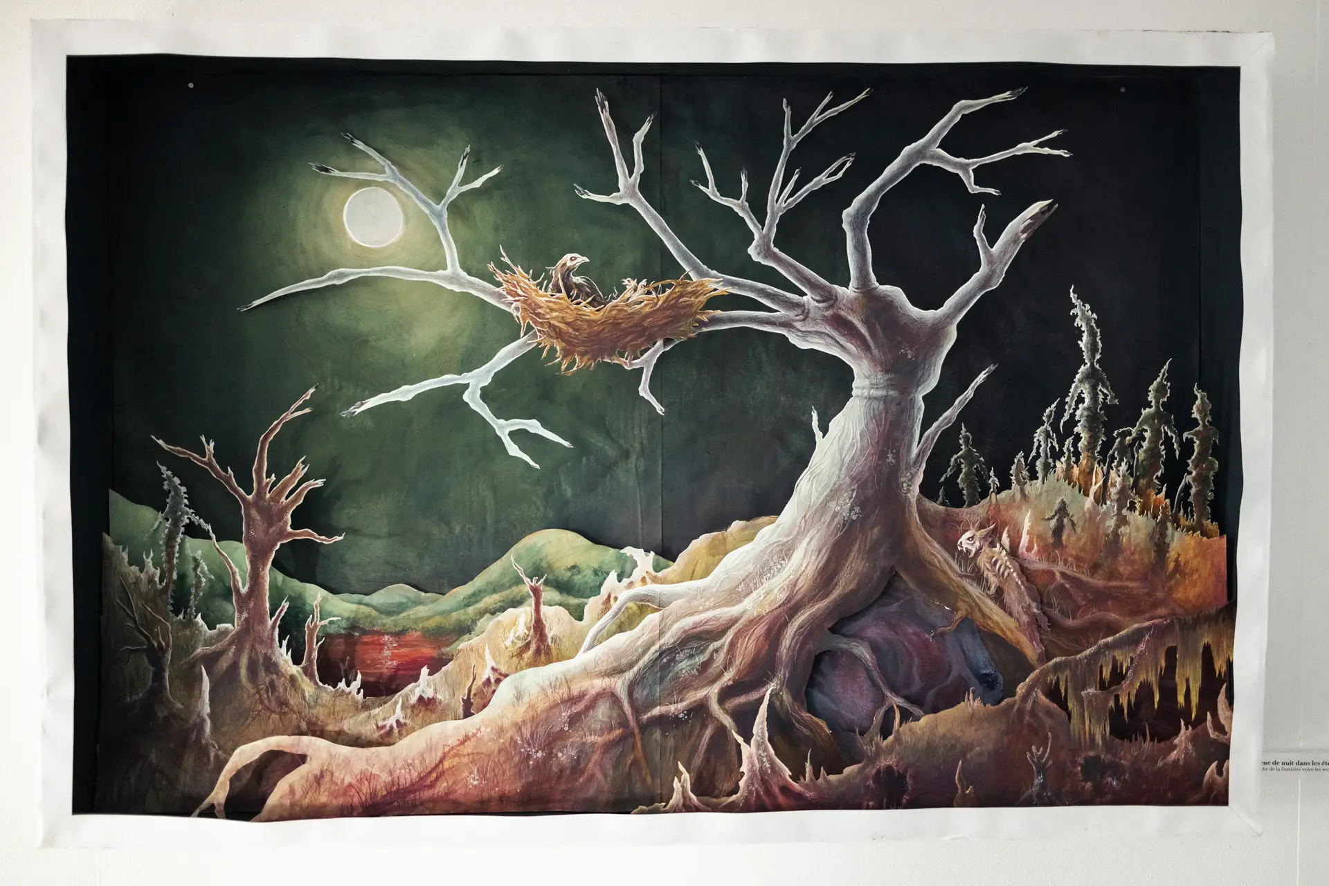 Anna BOURREZ / Une planète nommée Gaïa