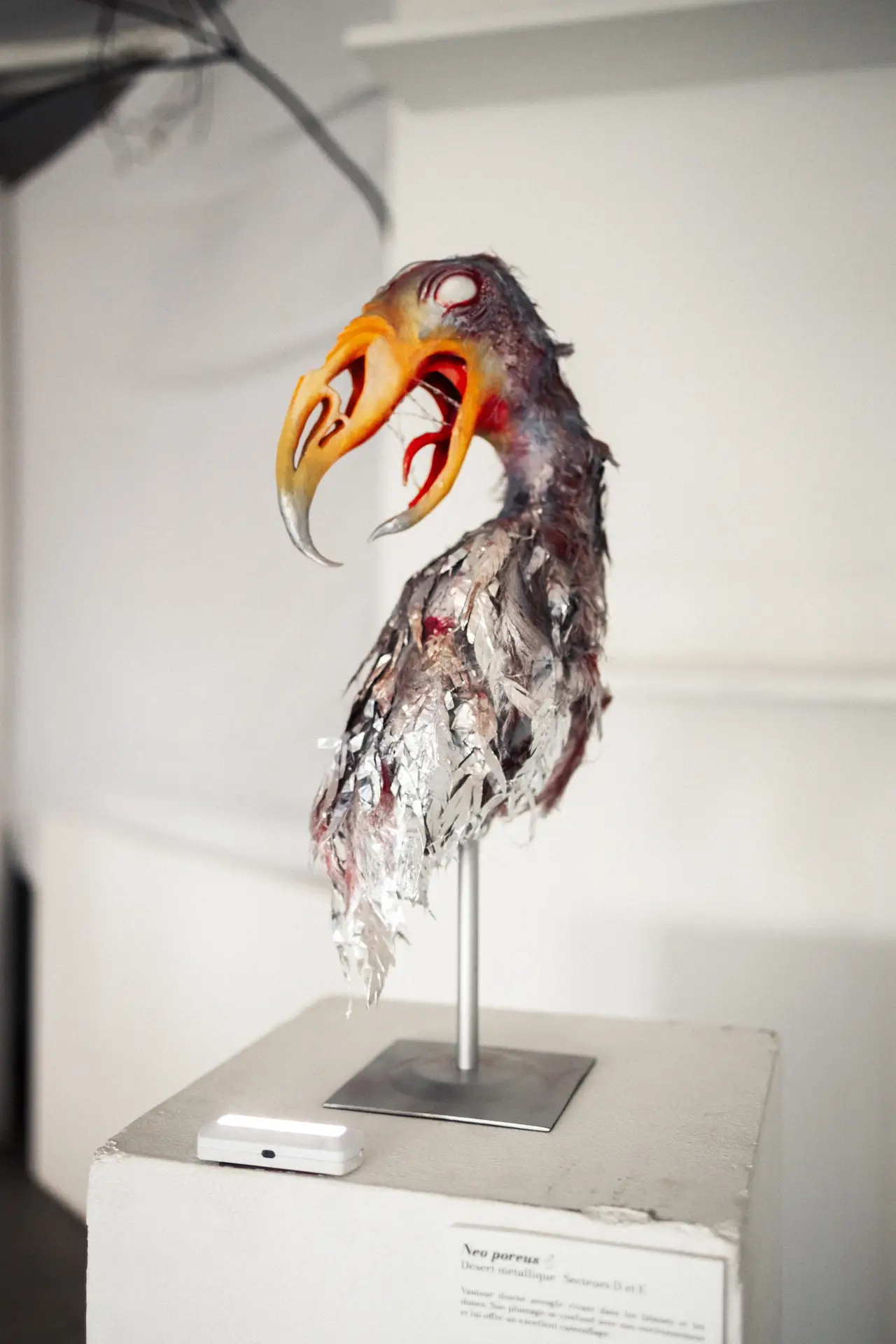 Anna BOURREZ / Une planète nommée Gaïa