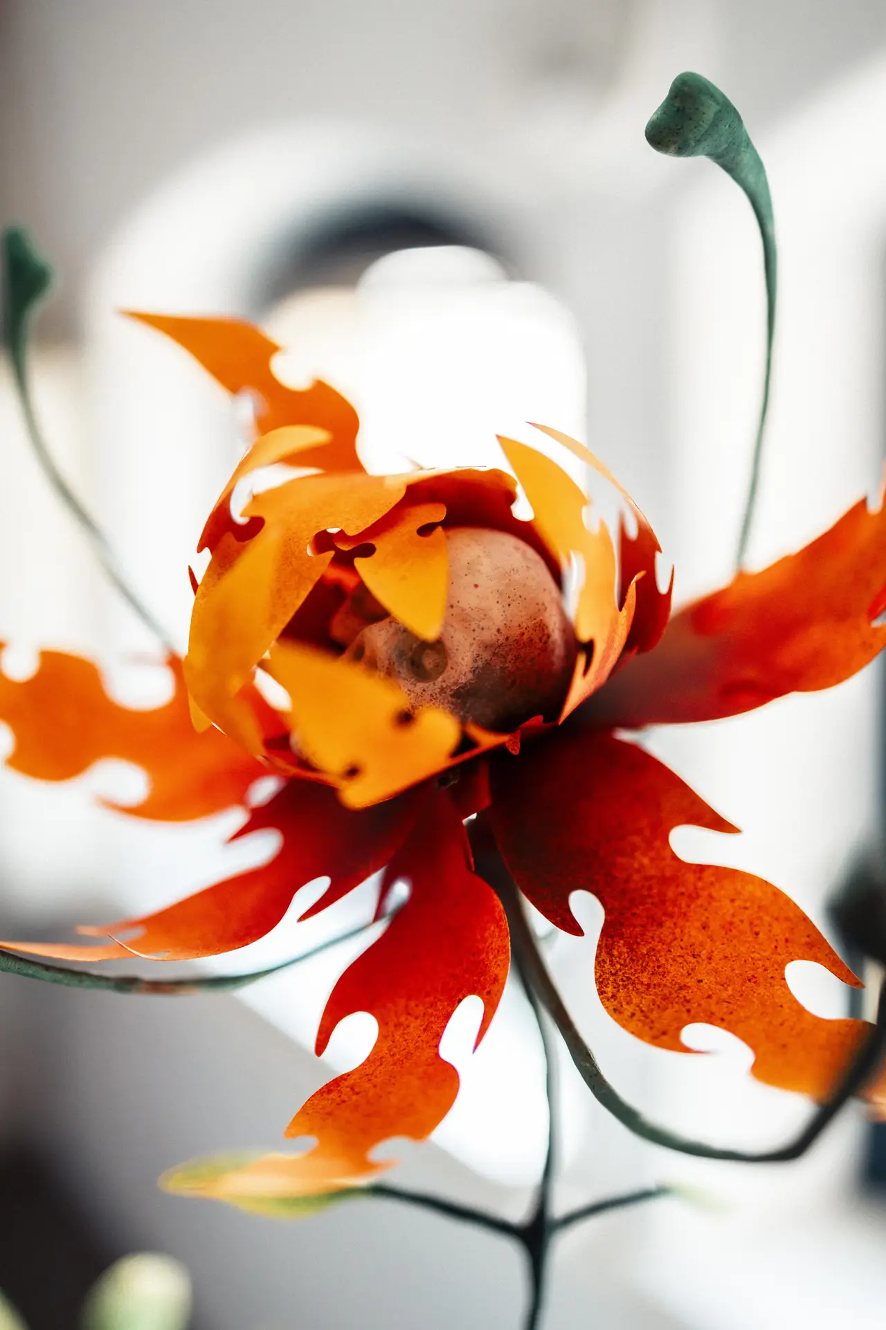 Anna BOURREZ / Une planète nommée Gaïa