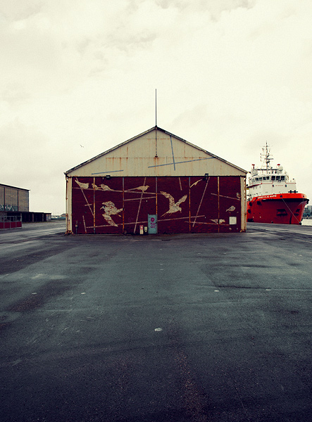 Hangar aux Oiseaux, vue 1 (2012)