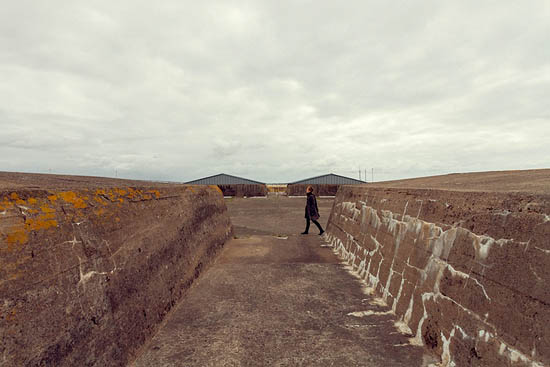 Dédale de béton (2013)