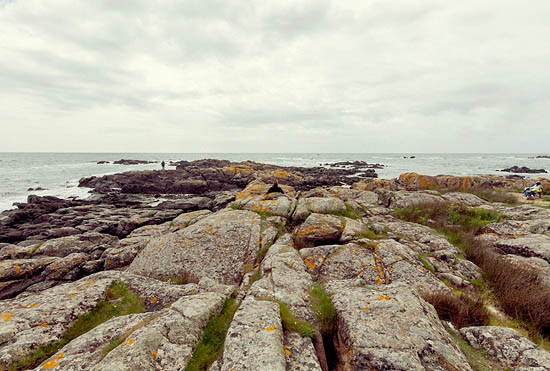 Devant l'océan et au-delà... (2013)