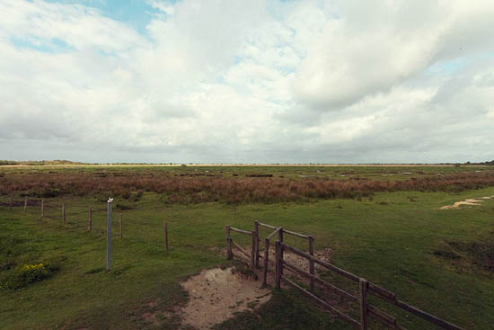 Pas très loin des marais (2013)