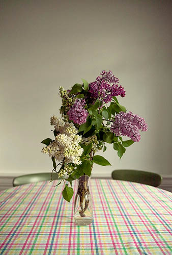 Du Lilas pour Clothilde (2013)