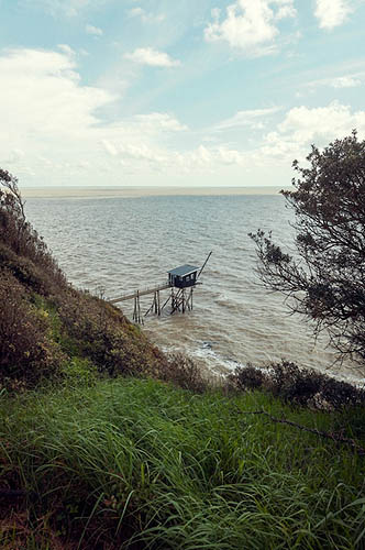 Pêcherie ombragée (2013)