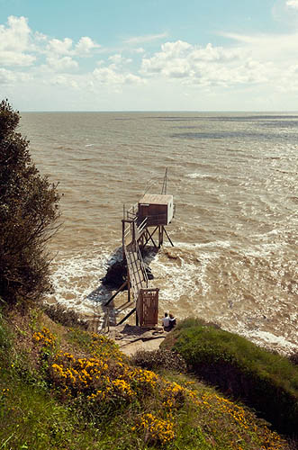 Pêcherie amoureuse (2013)