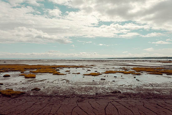 Marée basse sur le Saint-Laurent (2014)