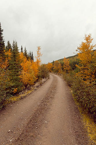 Un chemin sur notre route (2014)
