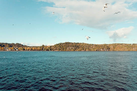 Fjord du Saguenay (2014)