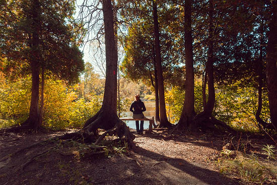 Contemplation (2014)