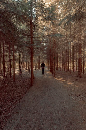 Balade dans le parc des Chutes (2014)