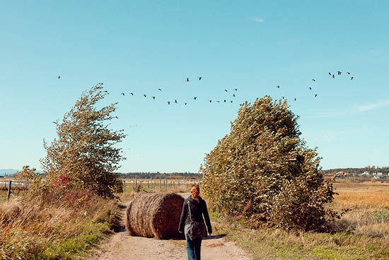 Vol au dessus de nos têtes (2014)