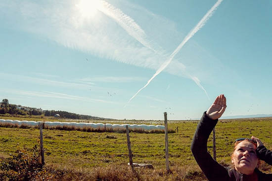 Les yeux vers le ciel (2014)