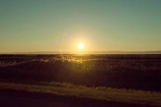 Couché de soleil québécois (2014)