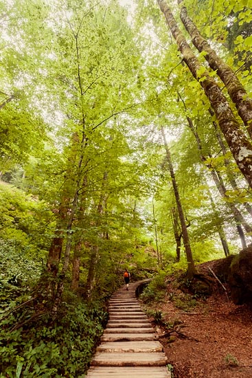 Sentier à Plitvice / Croatie (2016)