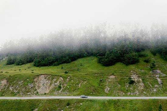 Brouillard d'arbres sur route dégagée I / Croatie (2016)