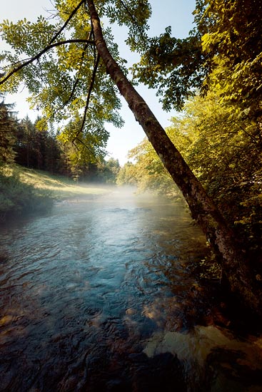 Les vapeurs de Radovna / Slovénie (2016) 