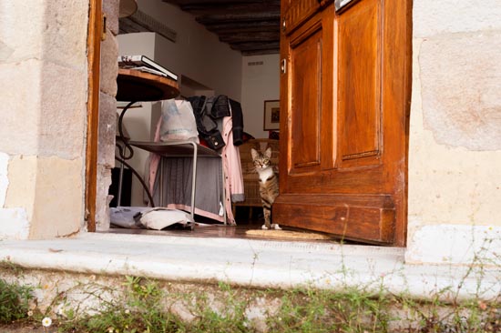 Le chat à la porte / France (2019)