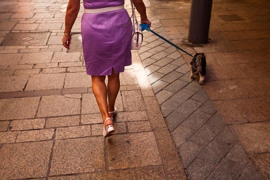 La dame au chien, le bas / Espagne (2019)