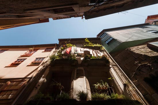 Du linge et des plantes aux fenêtres / Portugal (2019)