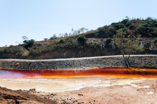 Toxic River / Portugal (2019)