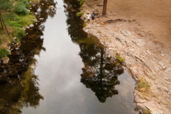 Des arbres sous les pieds / Espagne (2019)