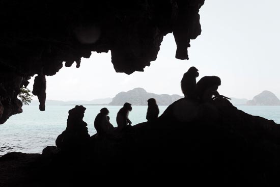 L'île aux Macaques / Thaïlande (2020)