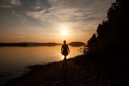 Swedish Sunset Silhouette / Suède (2021)