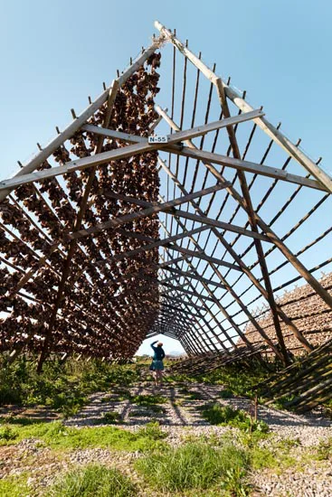 Séchoir à poiscailles / Norvège (2021)