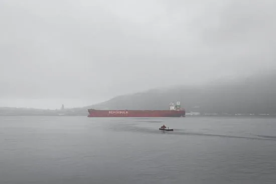 BERGEBULK / Norvège (2021)