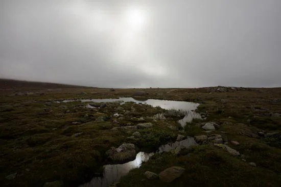Saltfjellveien II / Norvège (2021)