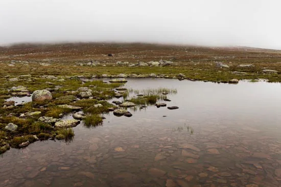 Saltfjellveien I / Norvège (2021)