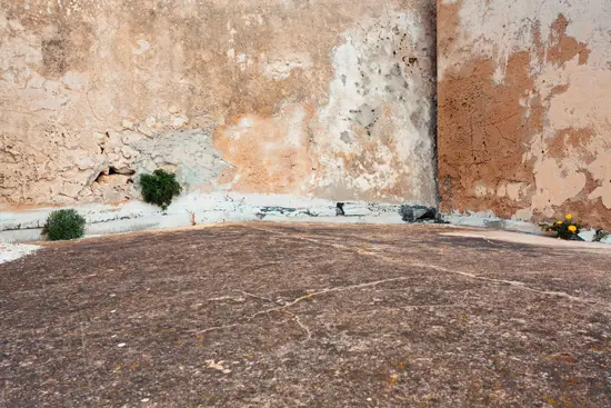 Sol de cimetière I / Corse (2023)