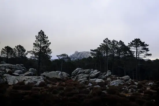 En bord de route vers Corte II / Corse (2023)