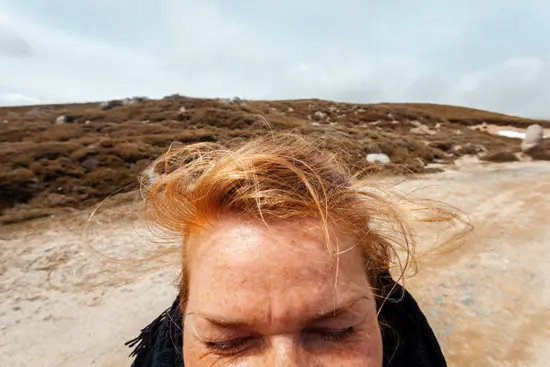 Tête de rousse / Corse (2023)