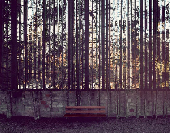 Un banc, des arbres, des arbres et encore des arbres (27022012)